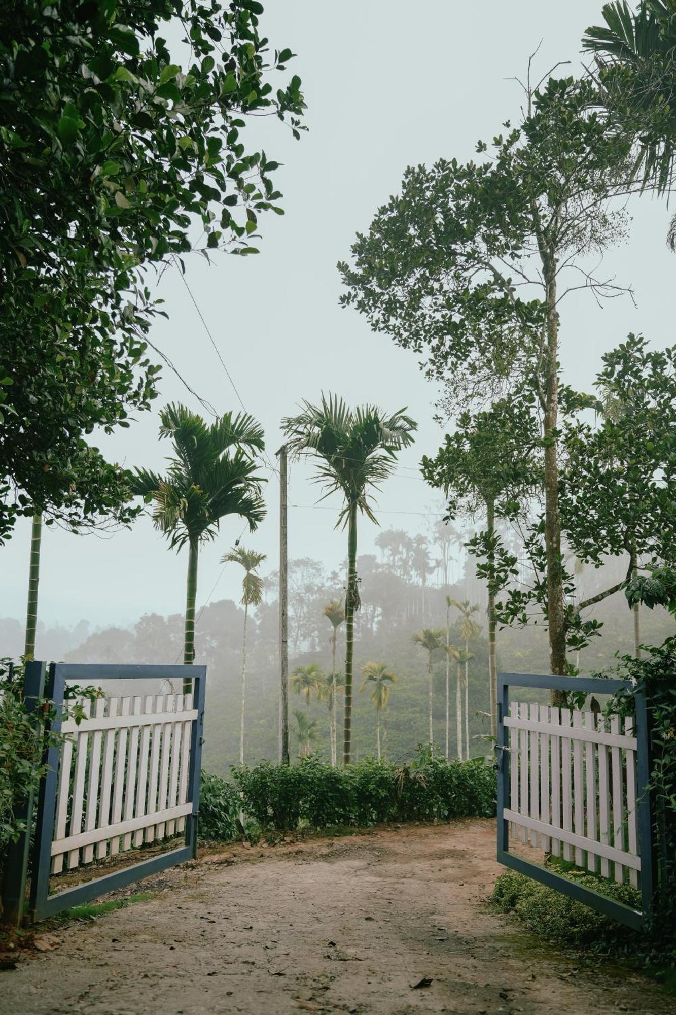 Haze Woods Resort Vaduvanchal Exterior photo